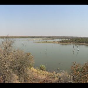 Meet your Posher, Claire